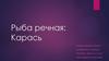 Рыба речная: Карась