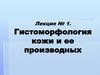 Гистоморфология кожи и ее производных