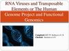 RNA Viruses and Transposable Elements, or The Human Genome Project and Functional Genomics