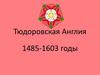 Тюдоровская Англия 1485-1603 годы