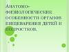 Анатомо-физиологические особенности органов пищеварения детей и подростков