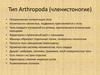 Тип Arthropoda (членистоногие)