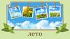 Лето. Приметы лета