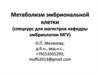 Метаболизм эмбриональной клетки. Биохимия детерминации. (Лекция 7)