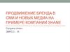 Продвижение бренда в СМИ и новых медиа на примере компании Shane