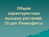 Общая характеристика высших растений. Отдел Риниофиты