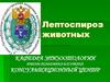 Лептоспироз животных