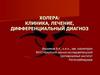 Холера: клиника, лечение, дифференциальный диагноз