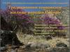 Традиционное коническое жилище народов Сибири