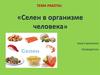 Селен в организме человека