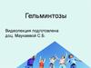 Гельминтозы