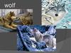 Wolf. Fact