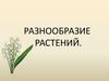 Разнообразие растений