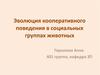 Эволюция кооперативного поведения в социальных группах животных