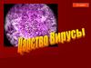 Царство Вирусы
