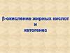 B-окисление жирных кислот и кетогенез