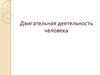 Двигательная деятельность человека