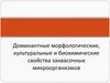 Доминантные морфологические, культуральные и биохимические свойства заквасочных микроорганизмов