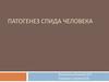 Патогенез СПИДа человека