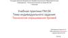 Учебная практика. Тема индивидуального задания: Технология окрашивания бровей