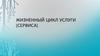 Жизненный цикл услуги (сервиса)