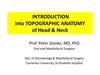 Introduction into topographic anatomy of head & neck