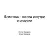 Близнецы - взгляд изнутри и снаружи
