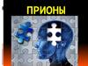Прионы. Трансмиссивные губкообразные энцефалопатии