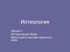 Исторический обзор. Место рыб в системе животного мира