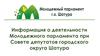 Информация о деятельности Молодежного парламента при Совете депутатов городского округа Шатура