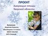 Проект « Зимующие птицы Тверской области»
