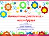 Комнатные растения – наши друзья