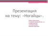 Ногайцы. Образ жизни ногайцев