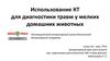 Использование КТ для диагностики травм у мелких домашних животных