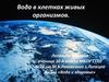 Вода в клетках живых организмов