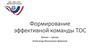 Формирование эффективной команды ТОС