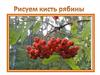 Рисуем кисть рябины