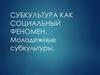 Субкультура как социальный феномен. Молодежные субкультуры