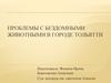 Проблемы с бездомными животными в городе Тольятти