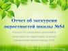 Рассказ об увиденных растениях и животных на территории зеленых насаждений нашей школы №54
