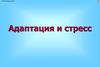 Адаптация и стресс