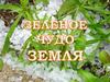 Зеленое чудо - Земля