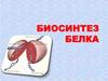 Биосинтез белка