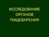 Исследование органов пищеварения