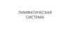 Лимфатическая система
