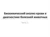 Биохимический анализ крови в диагностике болезней животных. Часть 1
