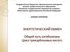 Энергетический обмен. Общий путь катаболизма. Цикл трикарбоновых кислот