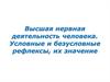 Высшая нервная деятельность человека. Условные и безусловные рефлексы, их значение