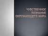 Чувственное познание окружающего мира
