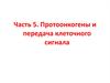 Протоонкогены и передача клеточного сигнала